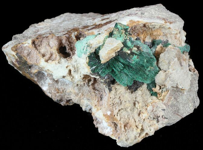 Fibrous Malachite Crystals on Matrix - Morocco #49456